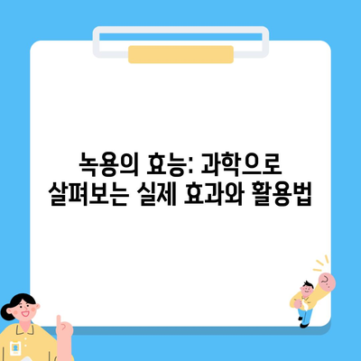 녹용의 효능: 과학으로 살펴보는 실제 효과와 활용법