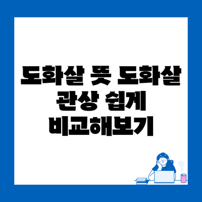 도화살 뜻 도화살 관상 쉽게 비교해보기