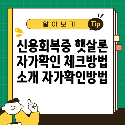 신용회복중 햇살론 자가확인 체크방법 소개 자가확인방법