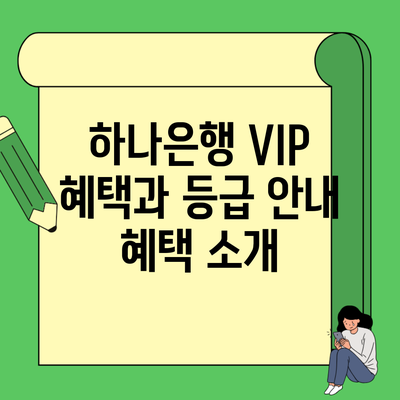 하나은행 VIP 혜택과 등급 안내 혜택 소개