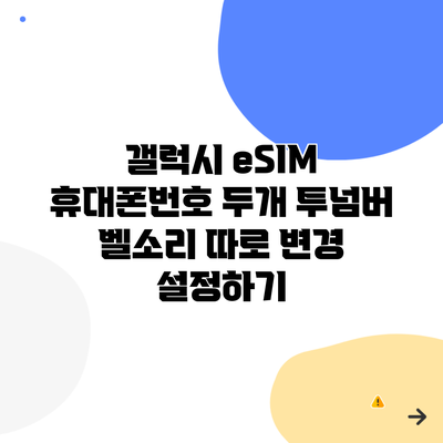 갤럭시 eSIM 휴대폰번호 두개 투넘버 벨소리 따로 변경 설정하기