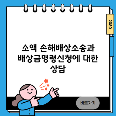 소액 손해배상소송과 배상금명령신청에 대한 상담