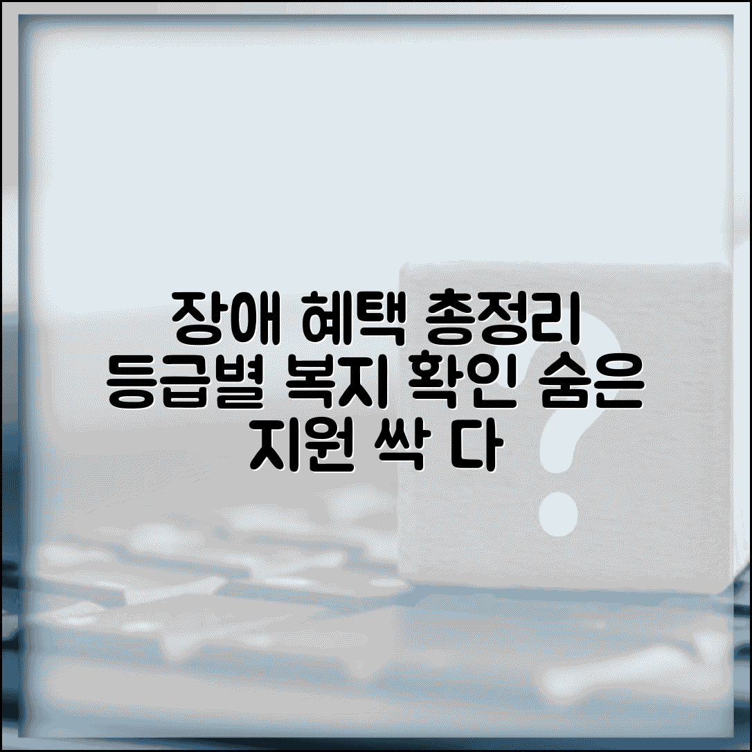 장애등급혜택 정리 | 장애 등급별 복지 혜택과 지원