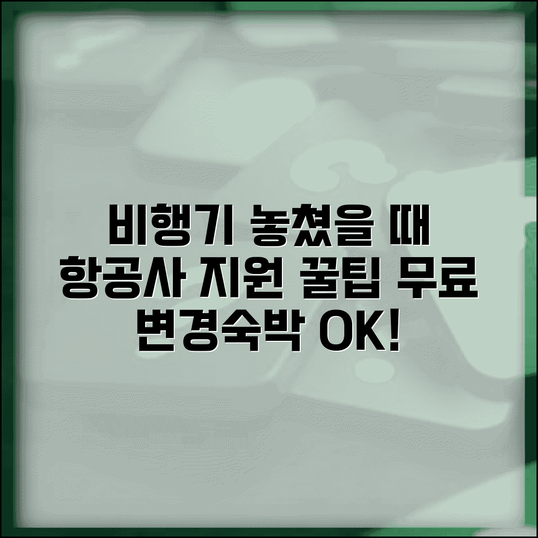 비행기 놓쳤을 때 항공사 지원 | 지연 항공편 무료 변경과 숙박비 지원받는 조건