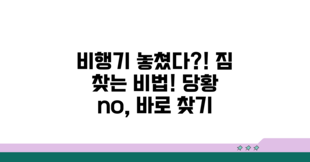 비행기 놓쳤을 때 짐 찾는 법