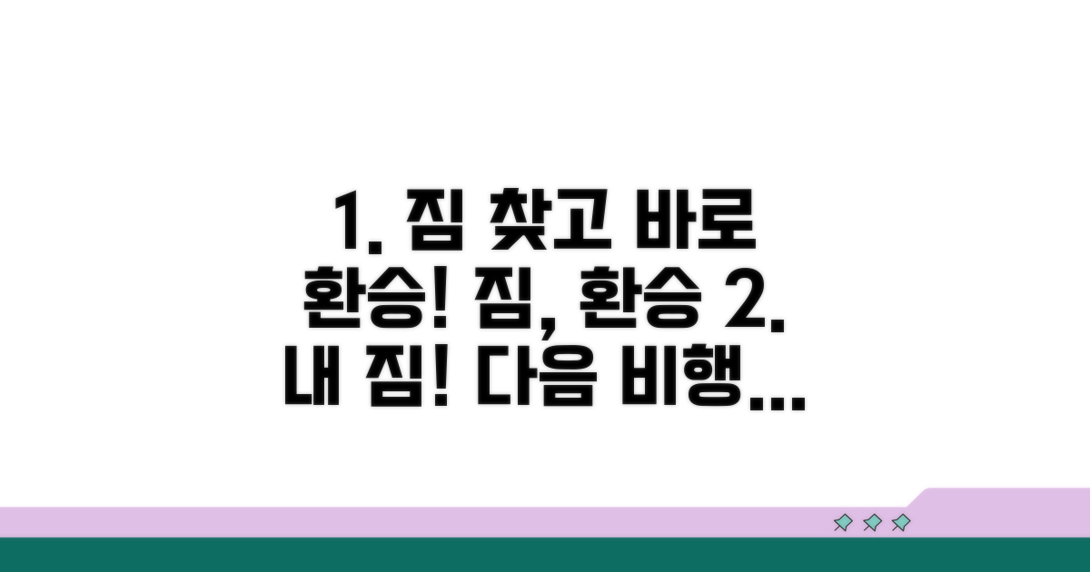 내 짐 찾기, 다음 비행기 연결 절차
