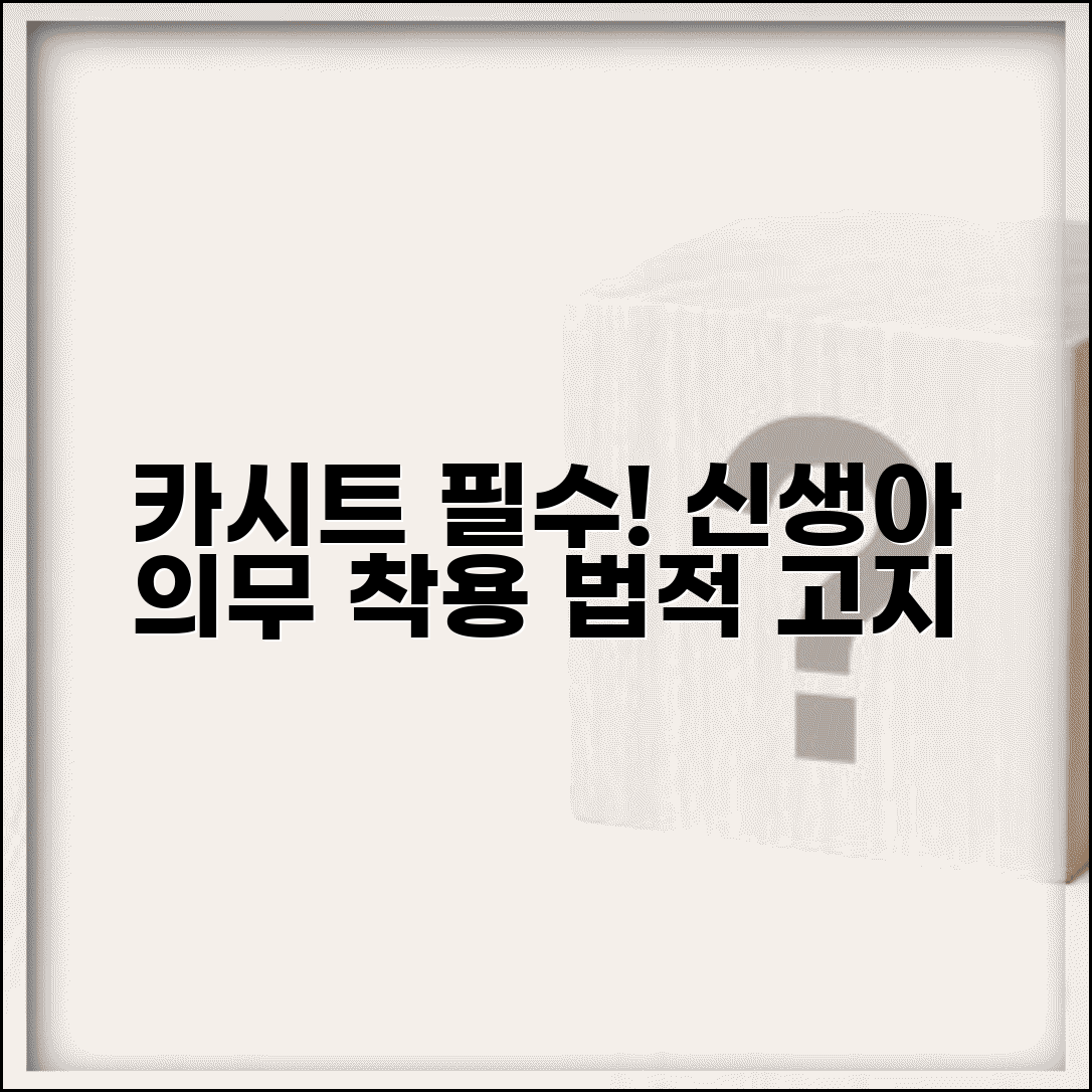 카시트 착용 시기 의무 | 신생아 카시트 법적 의무