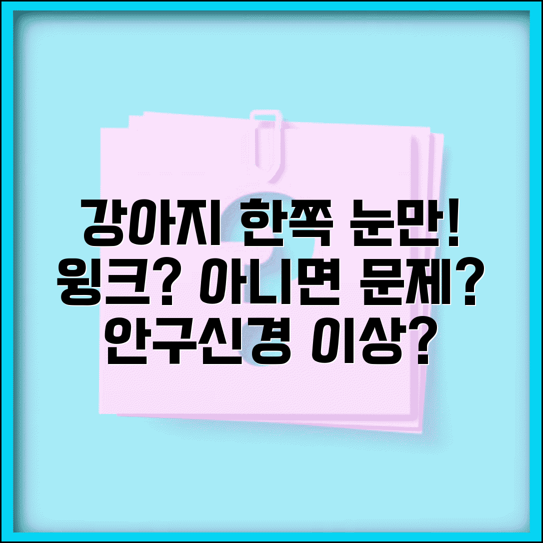 강아지 한쪽 눈만 자꾸 깜빡이는데 이상한가요 | 강아지 윙크 | 안구 | 신경