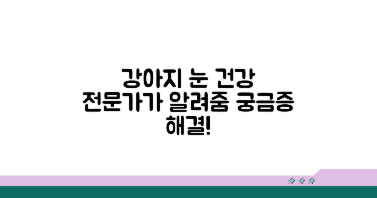 강아지 눈 건강, 전문가에게 물어보세요