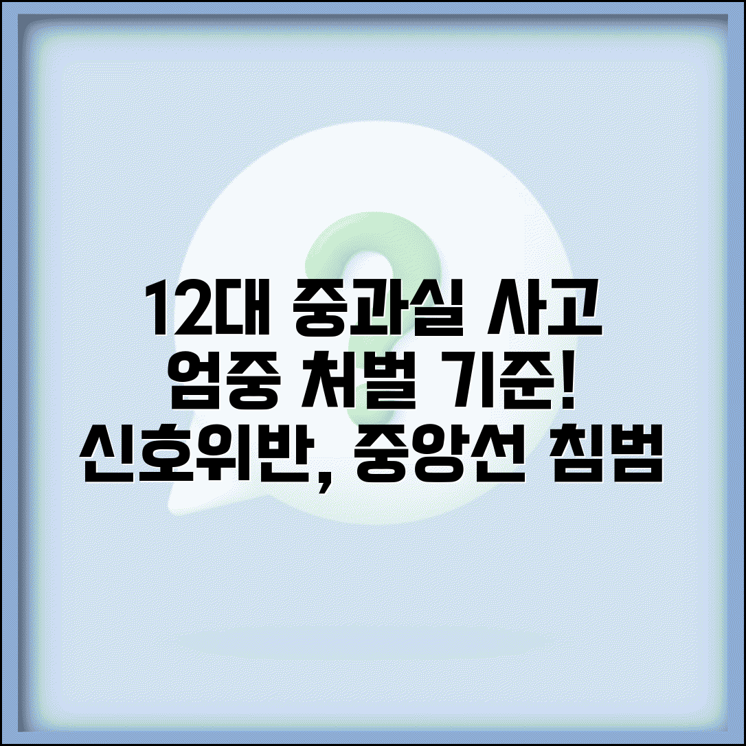 12대중과실 교통사고 처벌 | 신호위반 중앙선침범 등 중과실 교통사고 처벌 기준