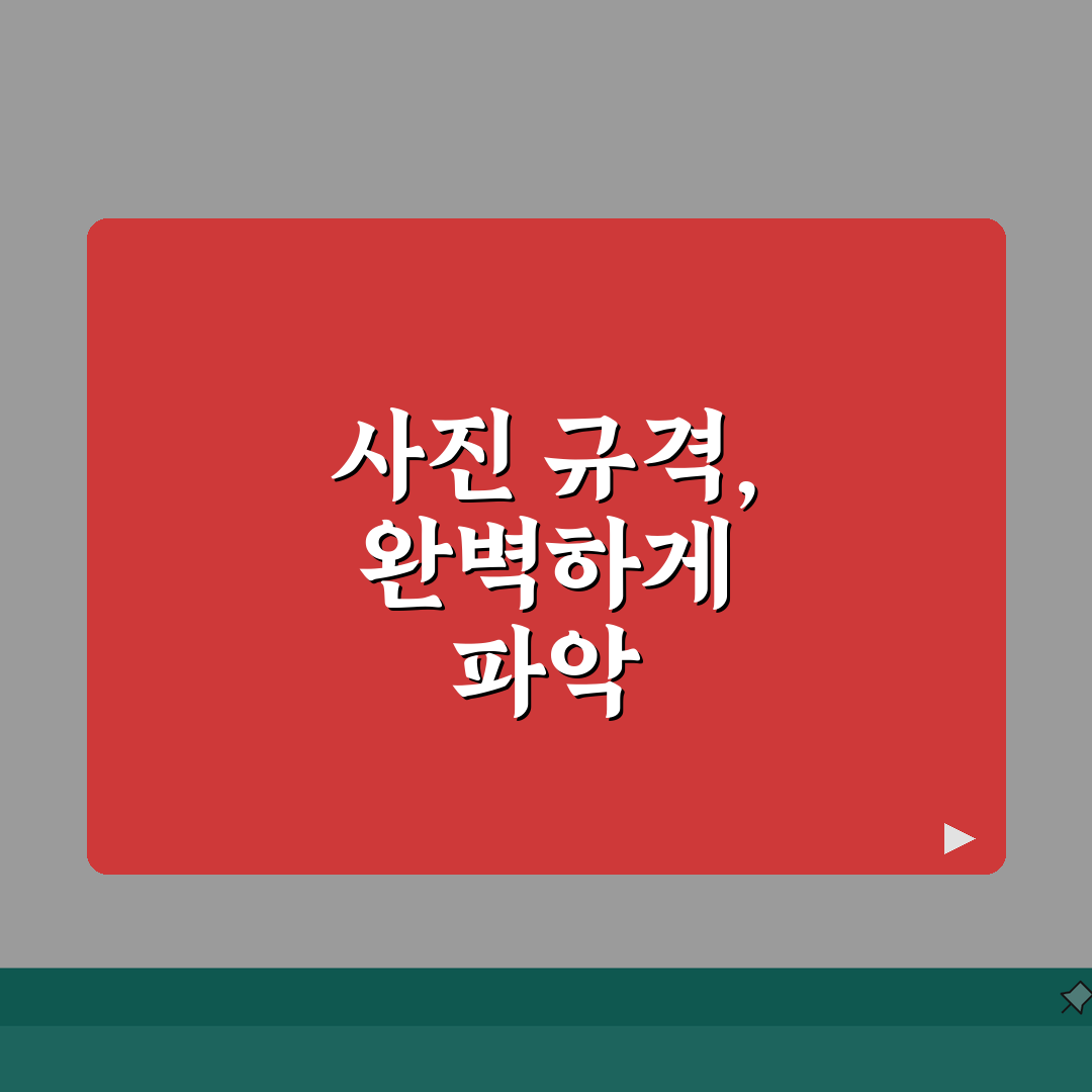 국제운전면허증 사진규격 완벽정리 | A to Z 규정에 맞는 사진 준비방법 7단계