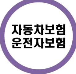 자동차보험 의무 가입 제도 안내