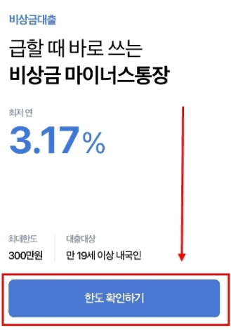 한도를 확인하고 대출을 신청하는 화면
