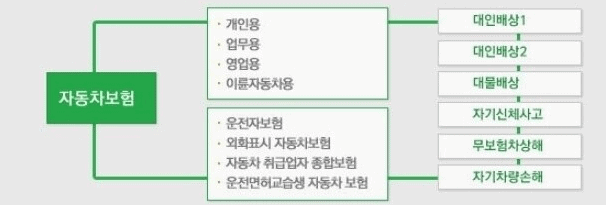 자동차보험의 책임보험과 종합보험 구성