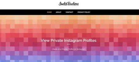 InstaBusters